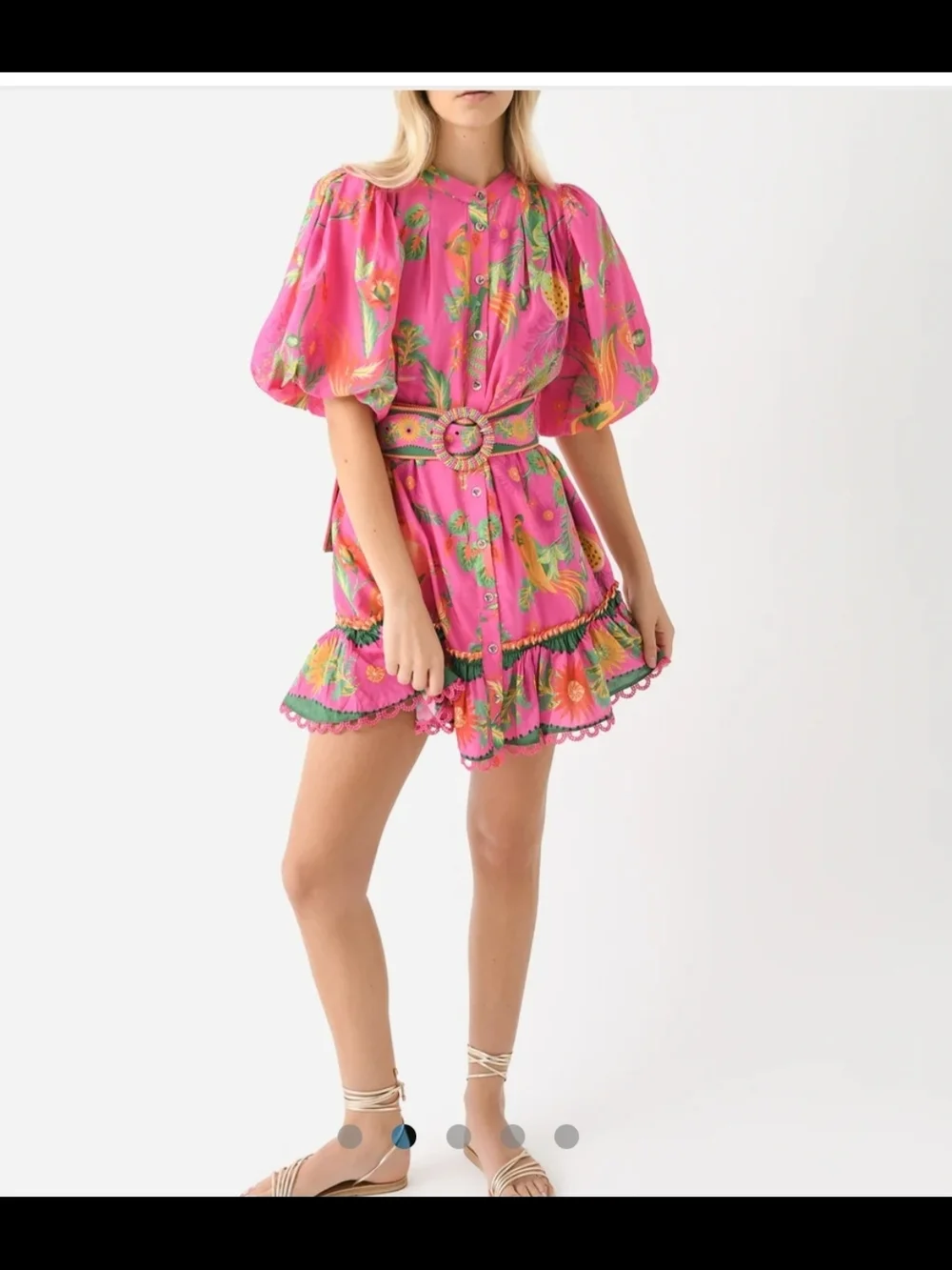 FARM Rio Delicate Fruit Garden, Mini Dress, Small - Picture 2 of 7